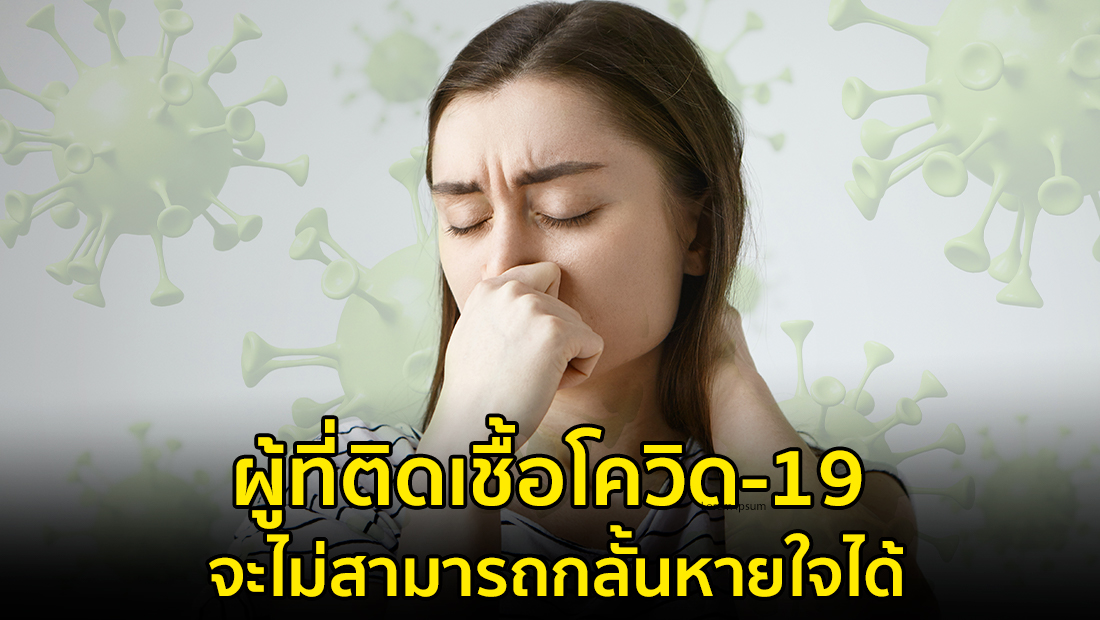 Website เปลียนรูป 62