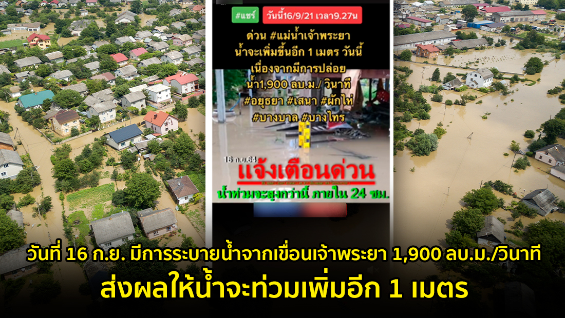 Website เปลียนรูป 49