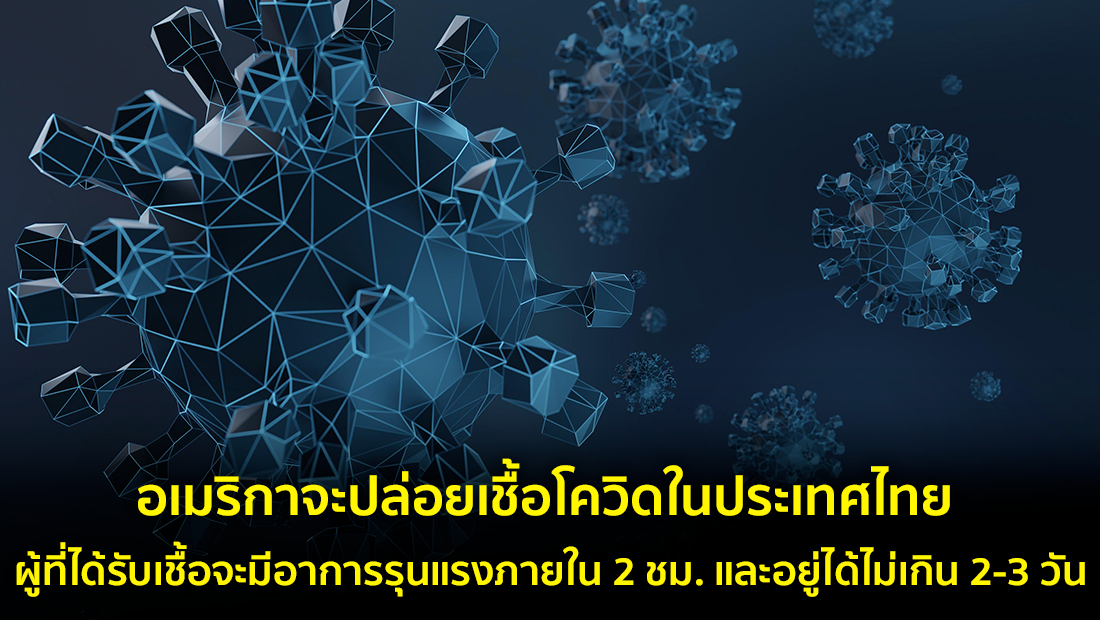 Website เปลียนรูป