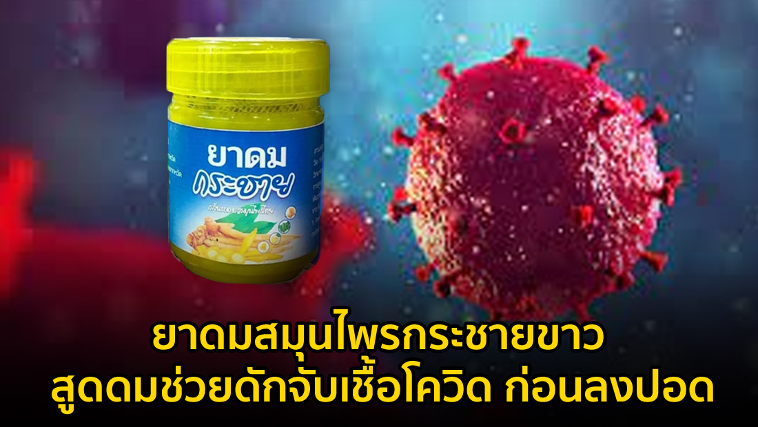 website เปลี่ยนรูป ภาพสี 1 1