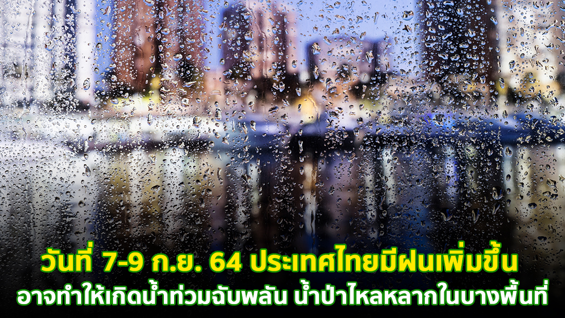 website เปลี่ยนรูป ภาพสี 10