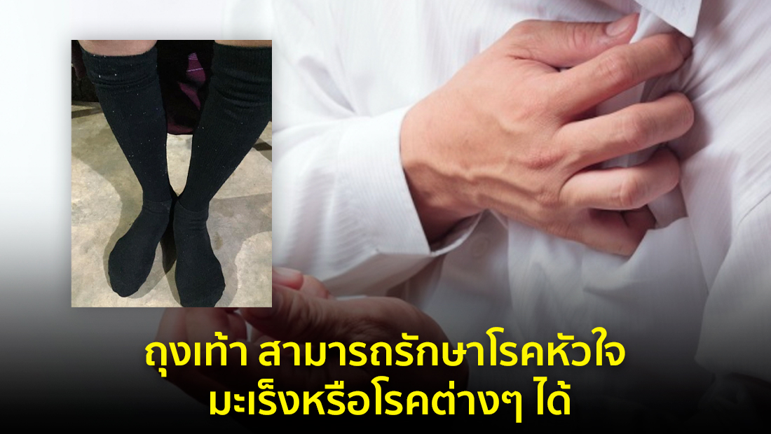 Website เปลียนรูป 51