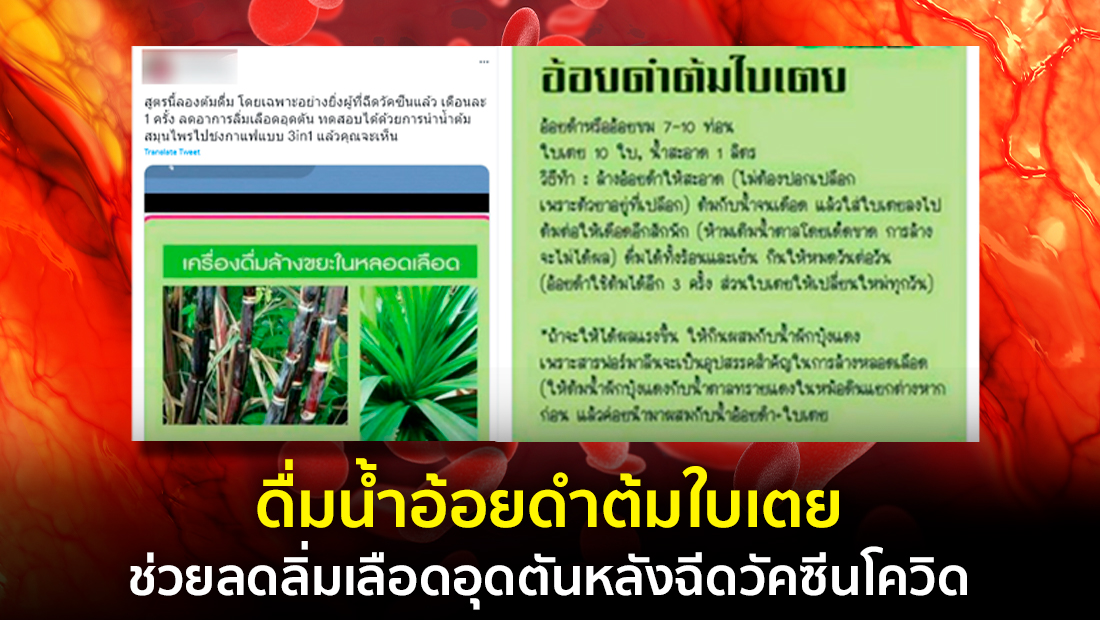 Website เปลียนรูป 81