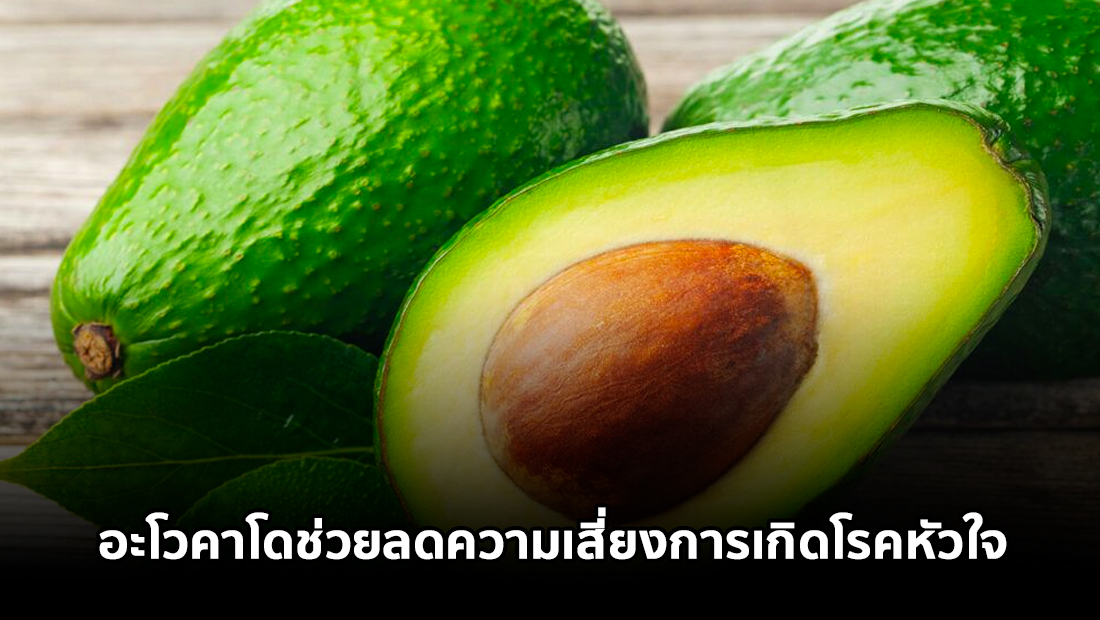 Website เปลียนรูป 5