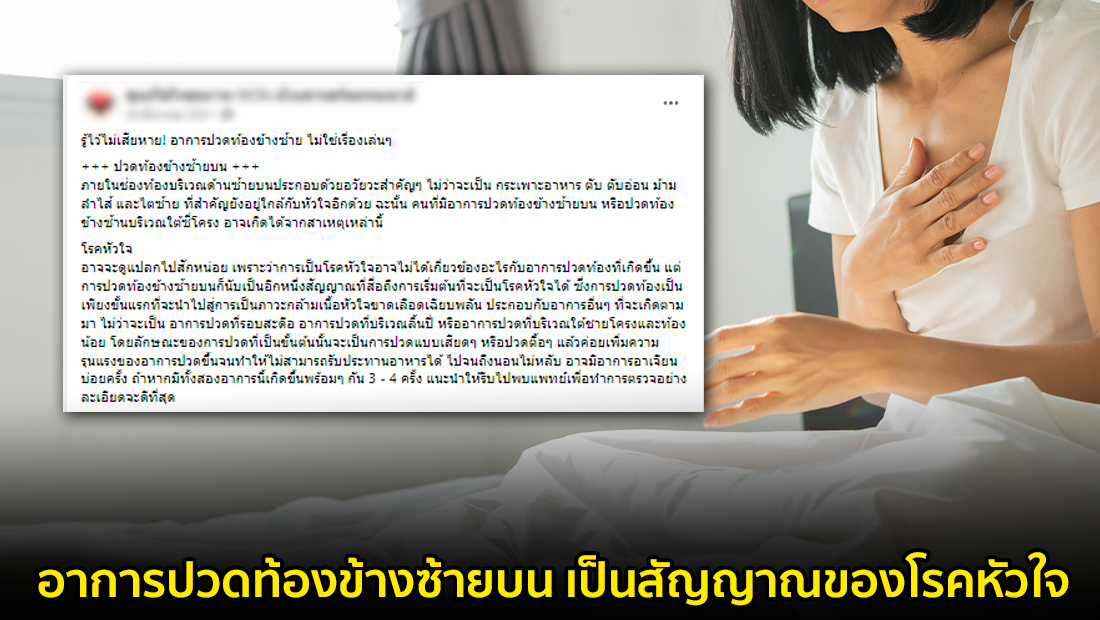 Website  42