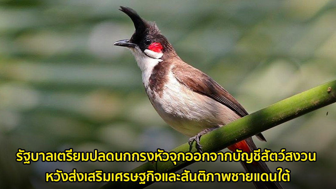 Website  120