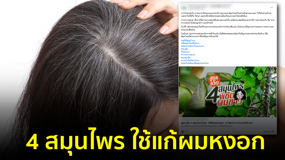 Website  82