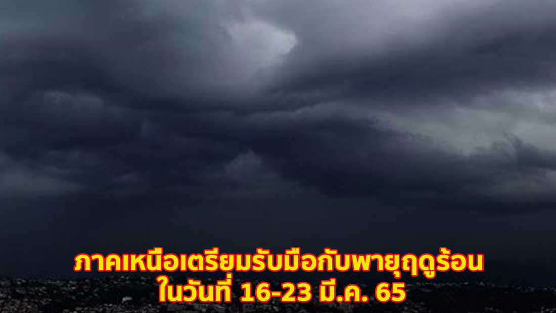 website 29