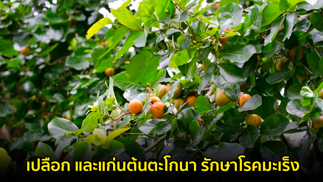 Website เปลียนรูป 1 1