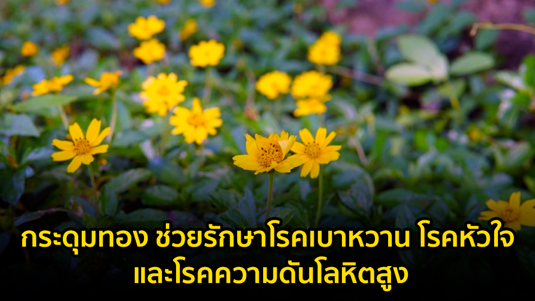 Website 20
