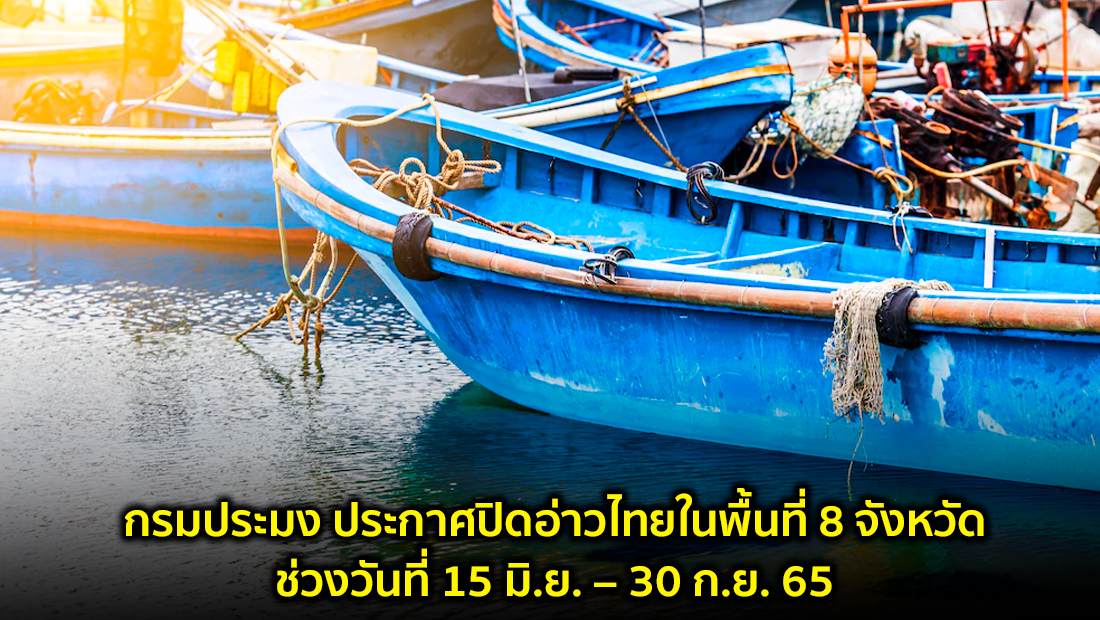 Website  55