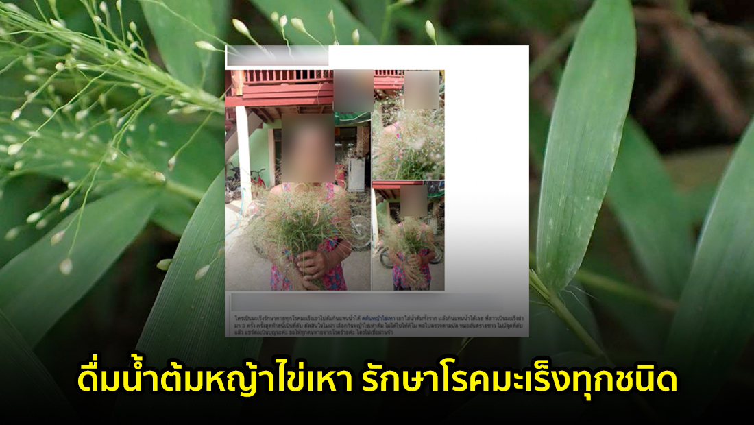 website 325