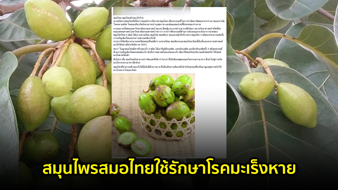 website 351
