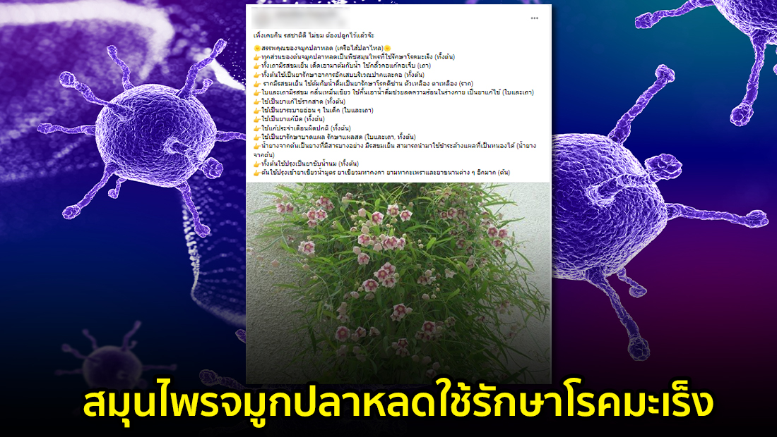 website 230