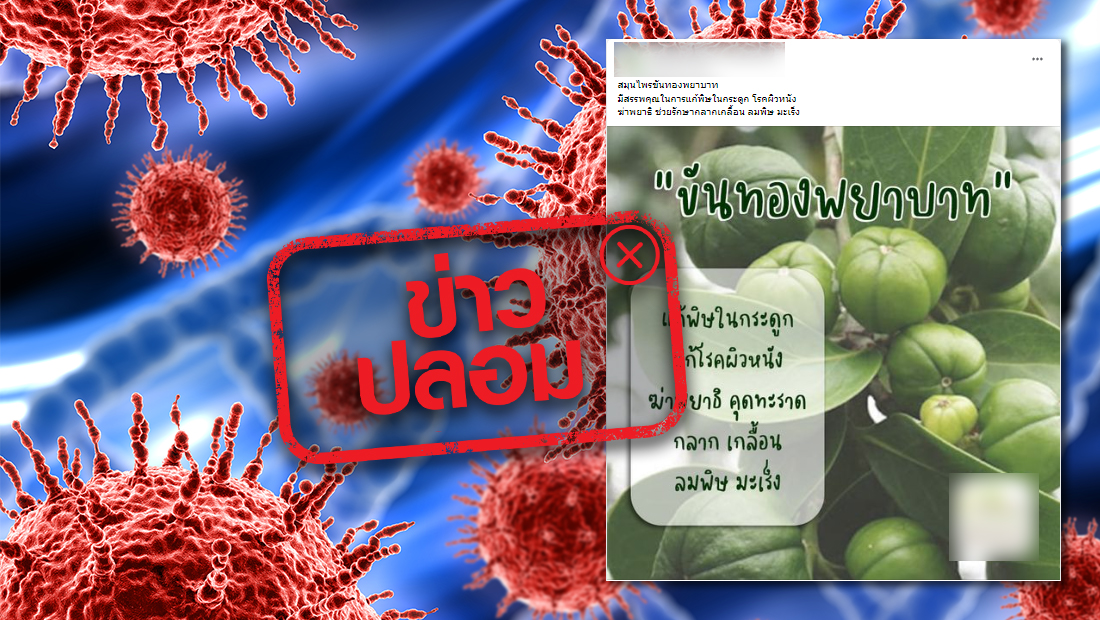 website stamp 266