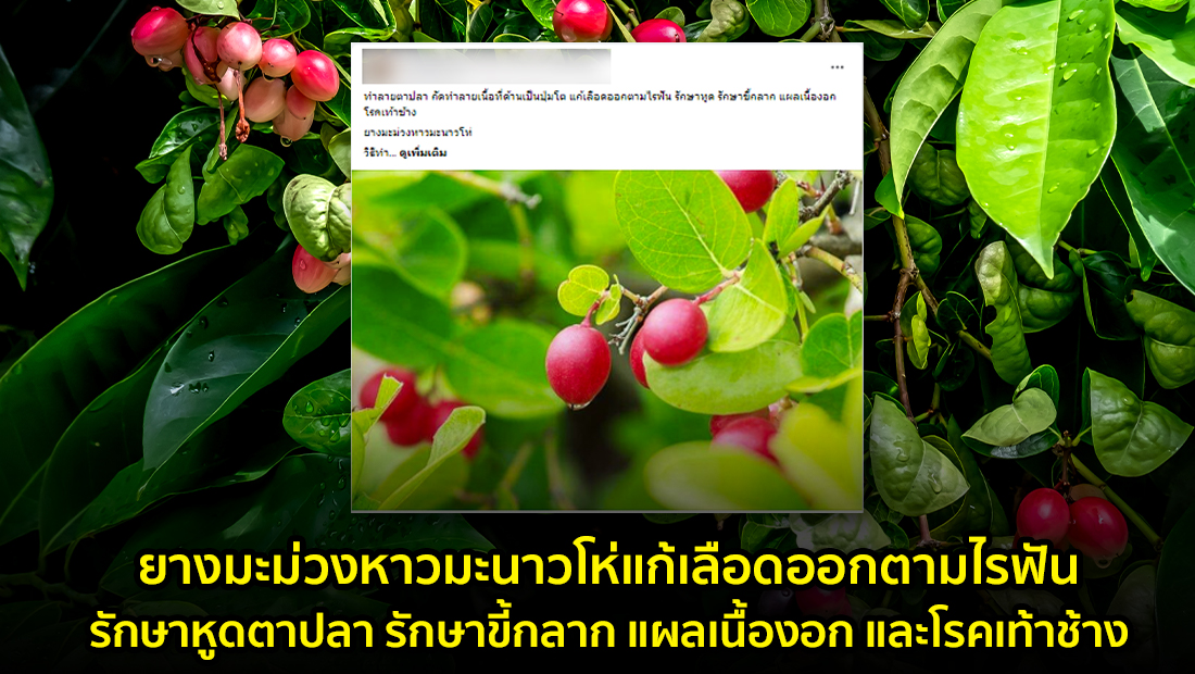 website 607