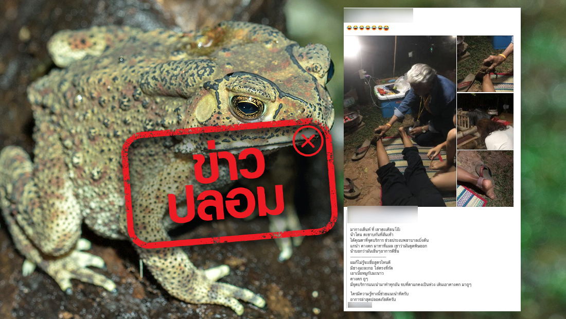 website 1412