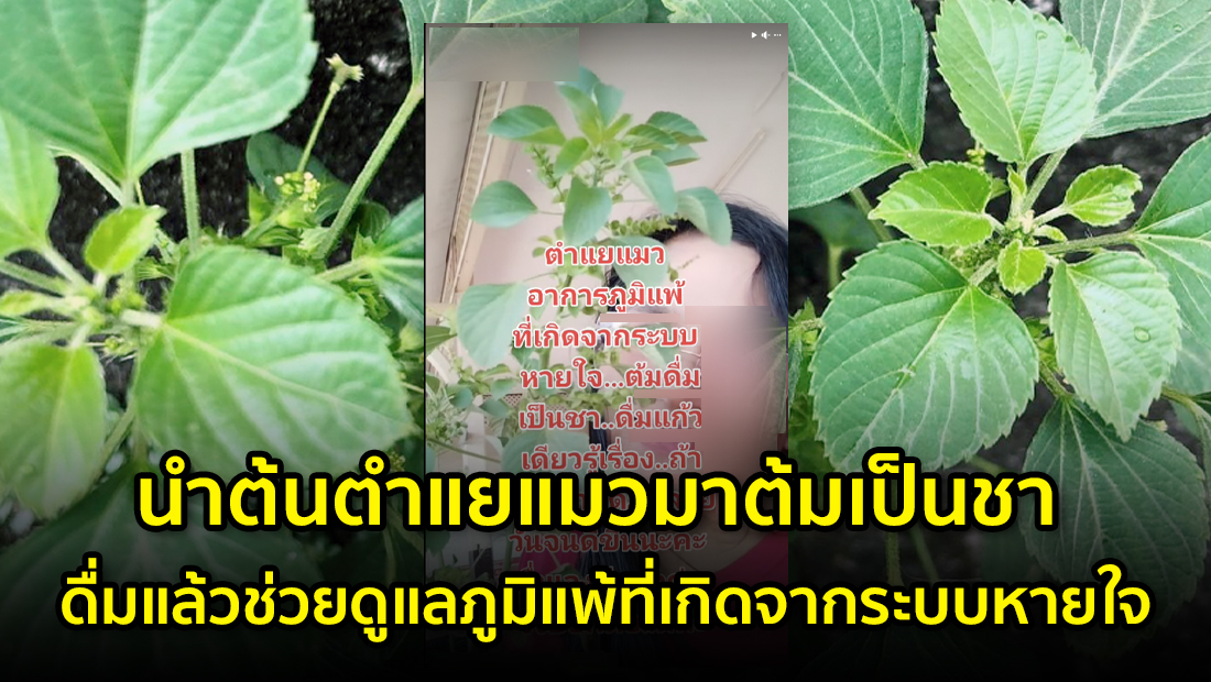 website 1771