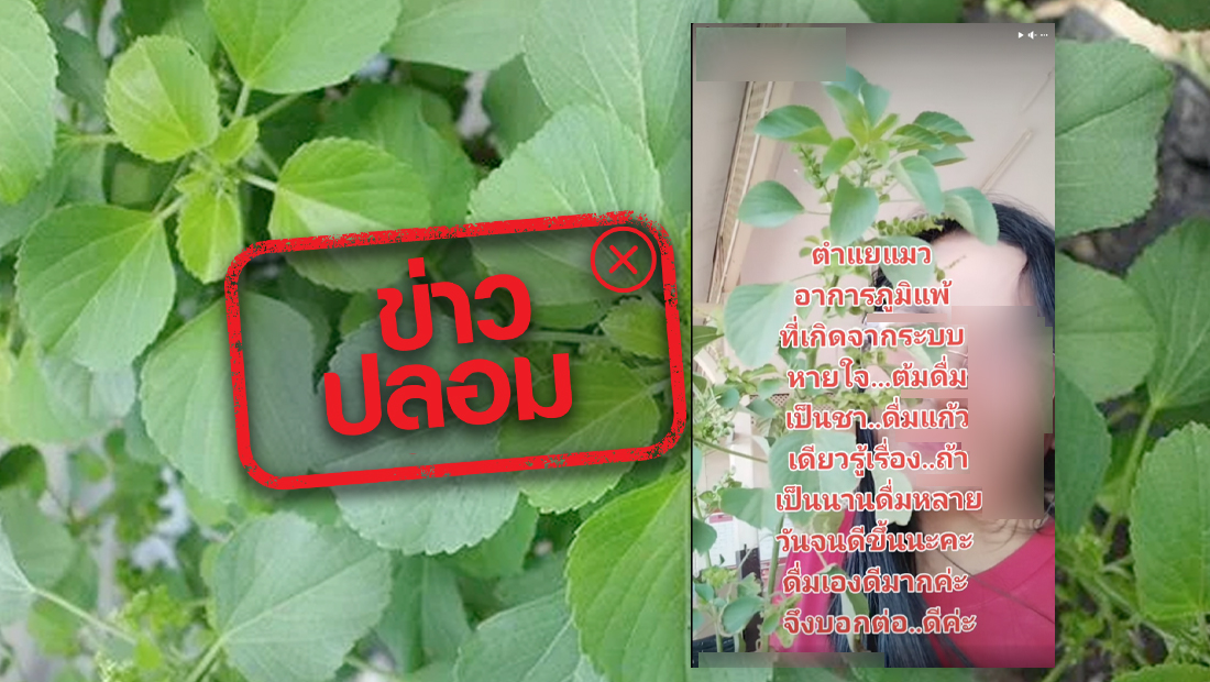 website 1770