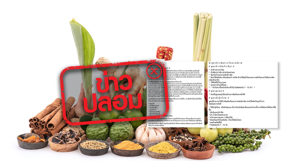 website 1806