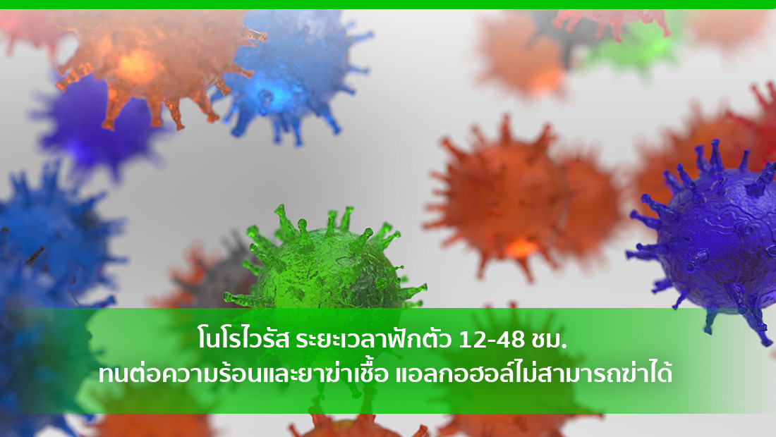 โนโรไวรัส ระยะเวลาฟักตัว 12-48 ชม. ทนต่อความร้อนและยาฆ่าเชื้อ