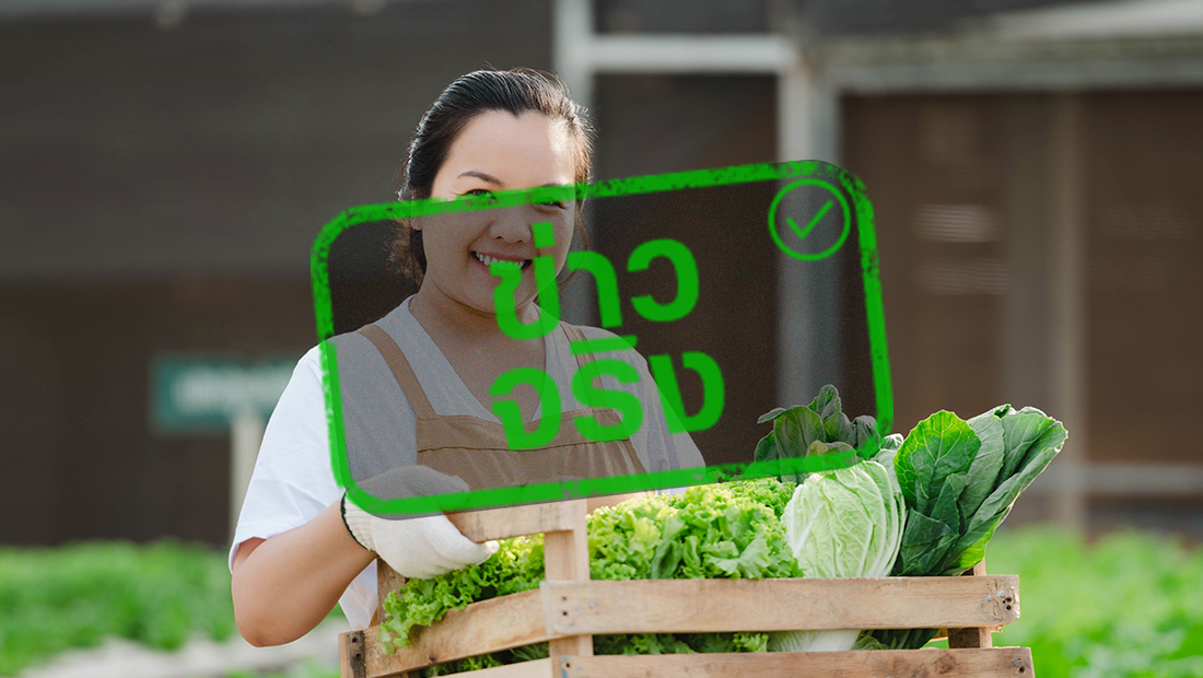 กระทรวงเกษตรและสหกรณ์ ออก 13 มาตรการ ช่วยเหลือเกษตรกรจากสถานการณ์ความไม่สงบในตะวันออกกลาง