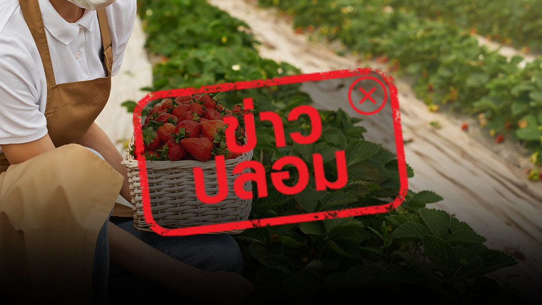 Future in Australia 35